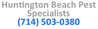 Huntington Beach Pest Specialists